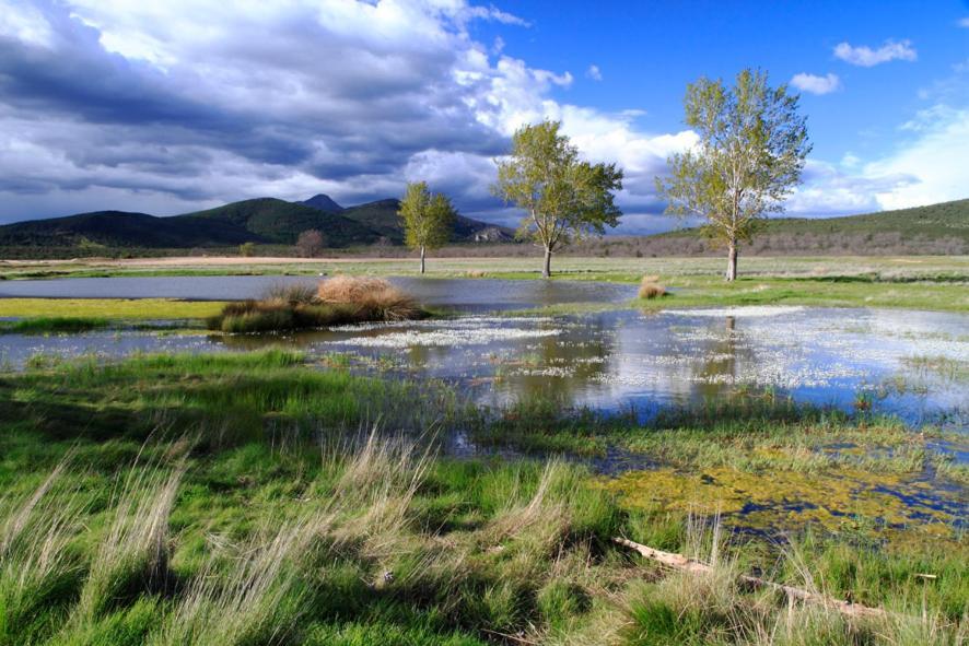Casa Rural, Spa Y Restaurante El Huerto Del Abuelo Almiruete Kültér fotó